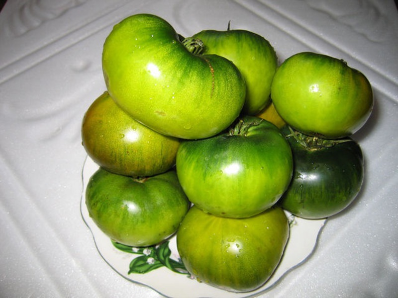 Зелените домати от сорта блато не променят цвета си, когато узреят