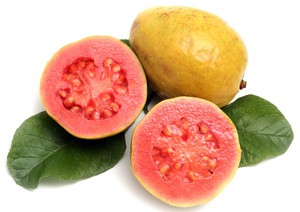 Egzotična biljka guava: opis i fotografija