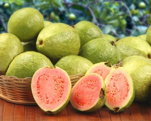 De foto toont de vruchten van de guave