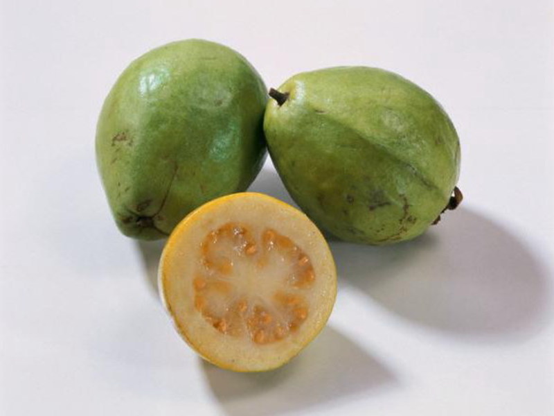 Waarom Guava zo goed is