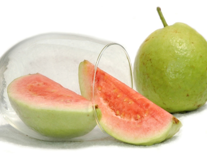 Guava wordt actief gebruikt om af te vallen