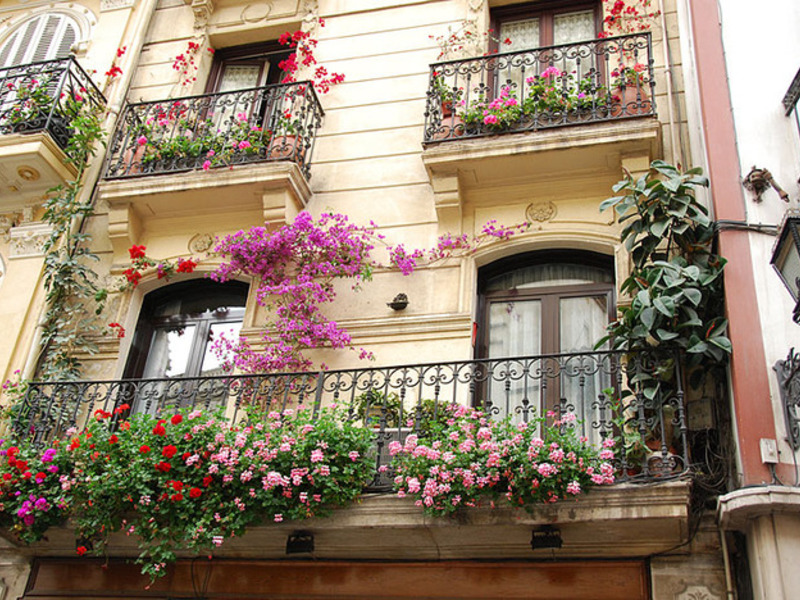 Cvjetni aranžmani za balkon,