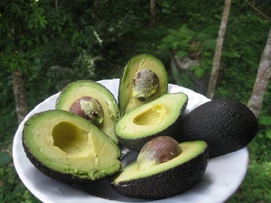 Elenco delle proprietà benefiche dei frutti di avocado