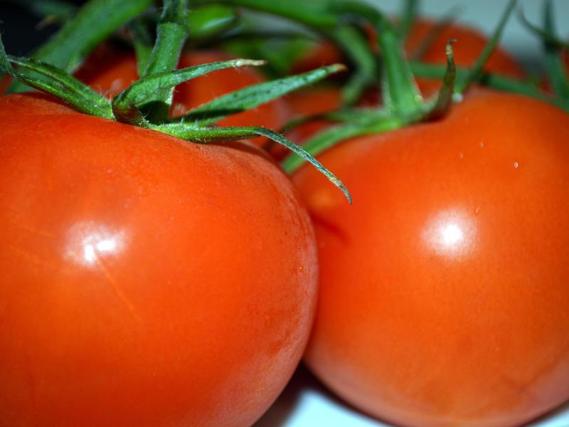 Pomidorai šiltnamyje.