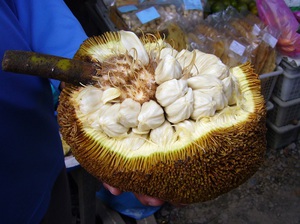 Karaniwang tumatagal ng 70-75 taon ang Breadfruit upang makagawa ng prutas