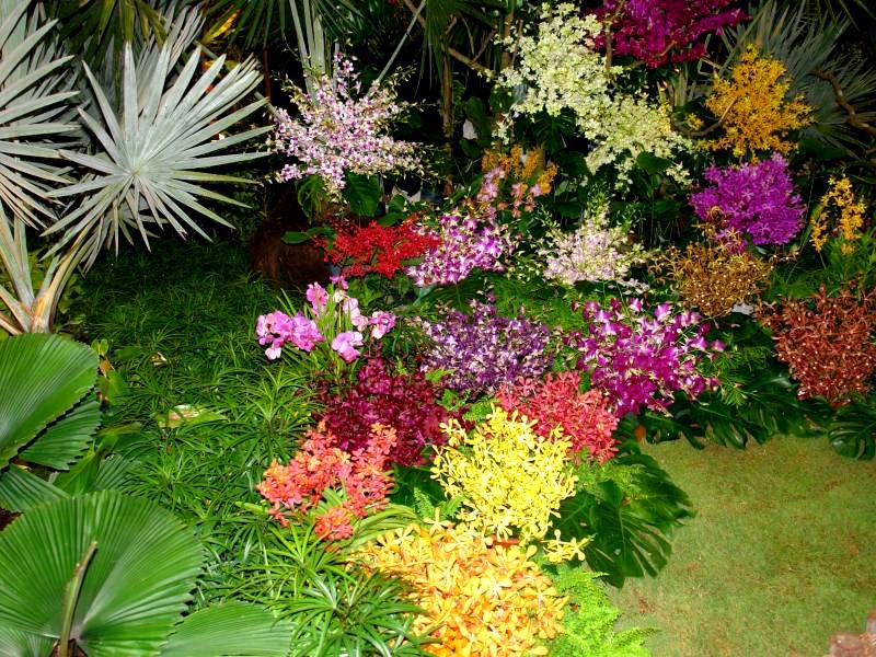 Varietà di fiori per una residenza estiva