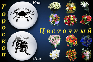 Flower horoscope