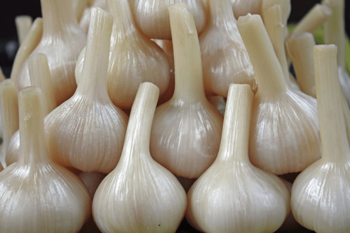 Teste d'aglio trattate con paraffina