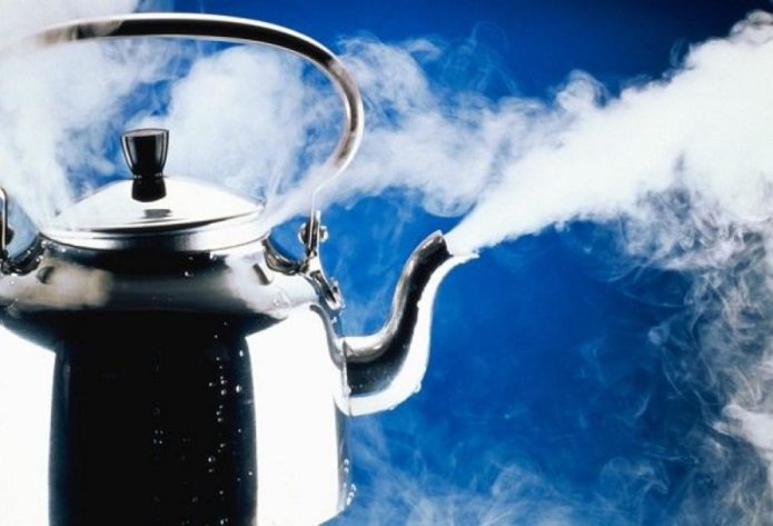 Steam kettle