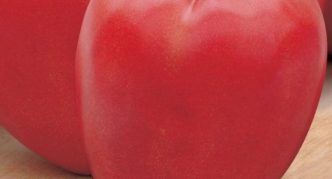 Pomidorų veislė Galvijų širdis rožinė