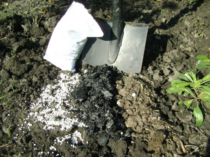 Подготовка на почвата за засаждане