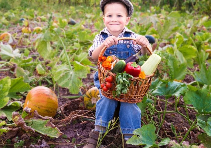 Дете, което държи реколта от градината в кошница