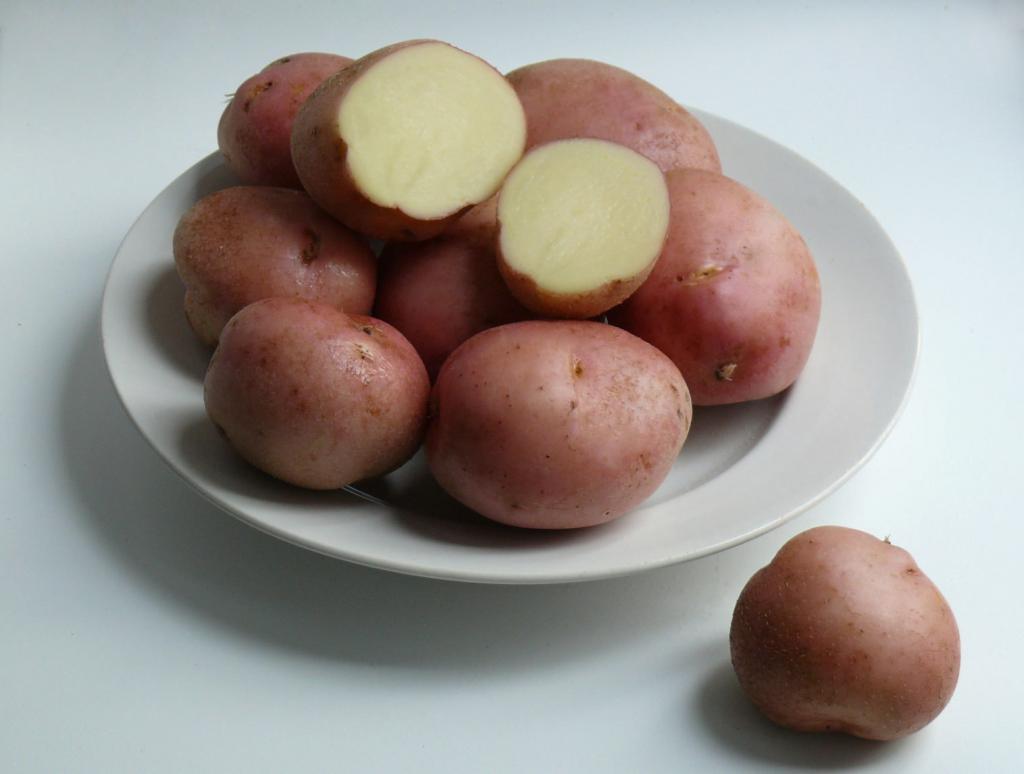 Romano bulvės - veislės aprašymas